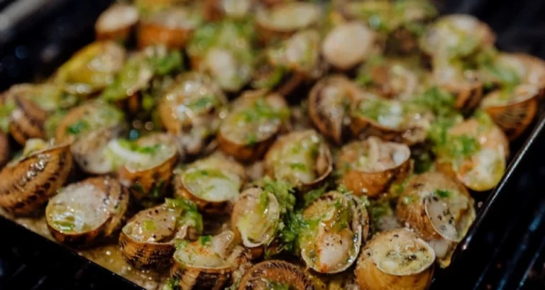 introalba_gastronomia_01_1x